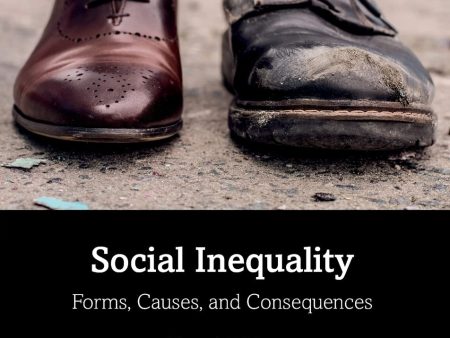 Social Inequality, 11Ed.: Forms, Causes and Consequences Hot on Sale