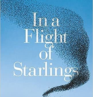 In a Flight of Starlings Online Sale