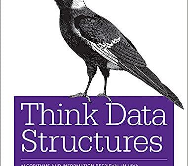 Think Data Structures: Algorithms and Information Retrieval in Java For Sale