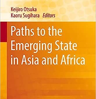 Paths to the Emerging State in Asia and Africa (2019) (Emerging-Economy State and International Policy Studies) For Sale