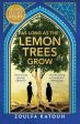 As Long as the Lemon Trees Grow on Sale