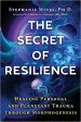 The Secret of Resilience: Healing Personal and Planetary Trauma Through Morphogenesis Sale