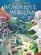 3D Colouring: Wonderful Worlds Online Hot Sale