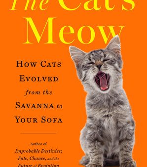 The Cat s Meow: How Cats Evolved from the Savanna to Your Sofa Supply